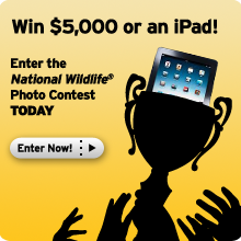 Enter the 2012 Photo Contest Today!